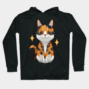 Calico cat Hoodie